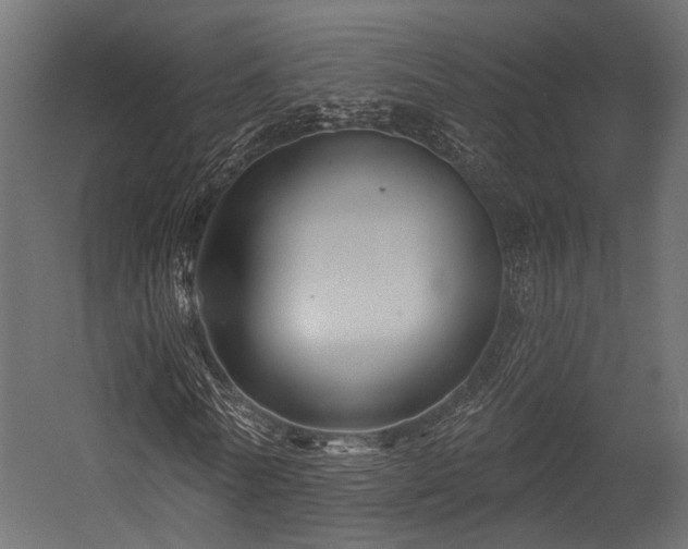 X0000054420770200507291248