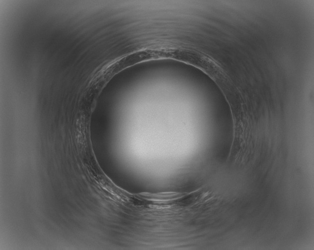 X0000054420773200507291248