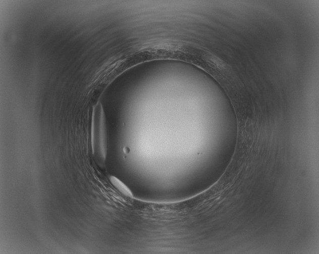 X0000054420774200507291248