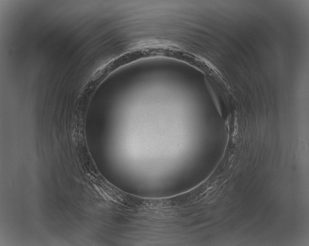 X0000054420775200507291248