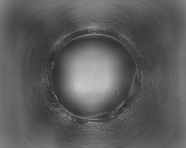 X0000054420776200507291248