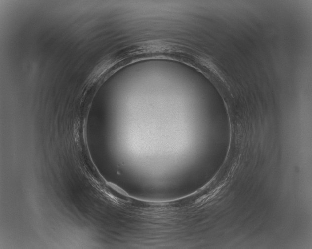 X0000054420778200507291248