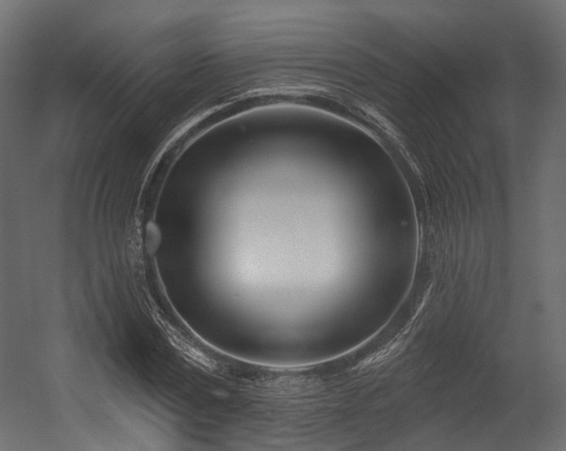 X0000054420779200507291248