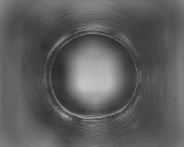 X0000054420780200507291248