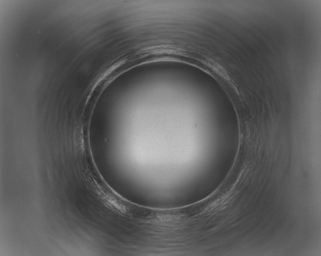 X0000054420782200507291248