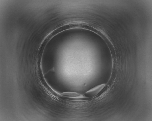 X0000054420783200507291248