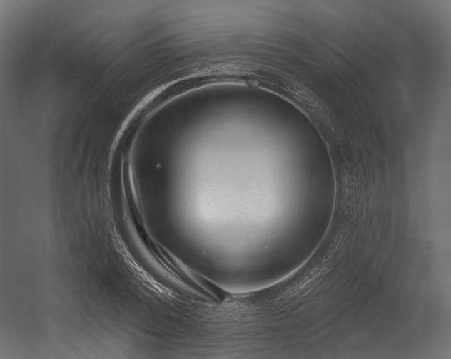 X0000054420784200507291248