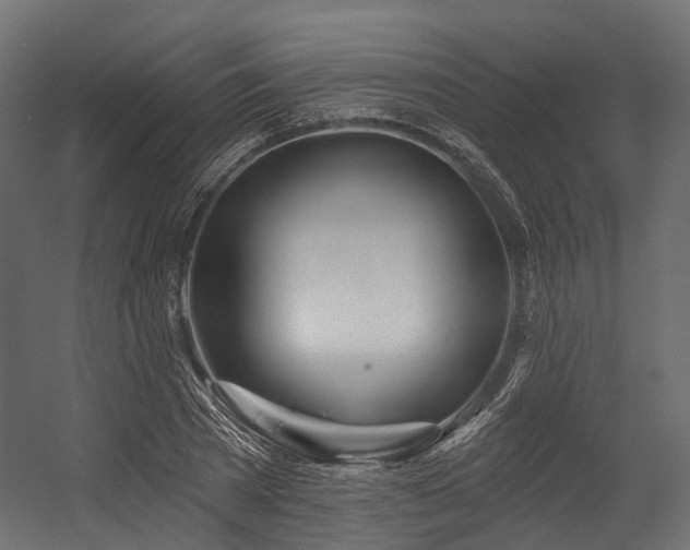 X0000054420785200507291248