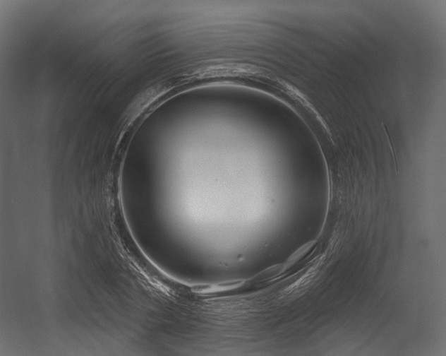 X0000054420786200507291248