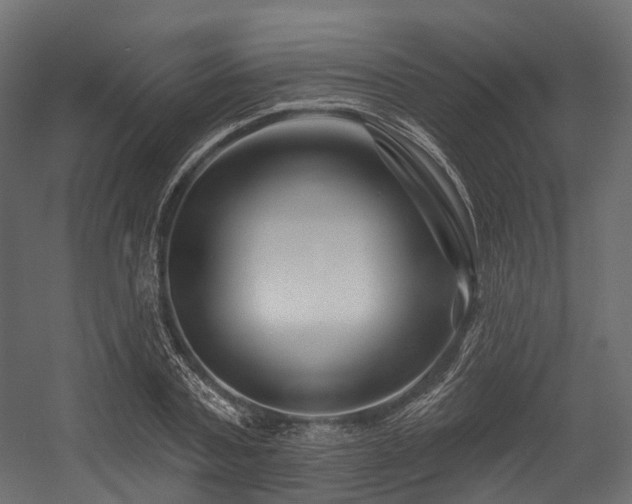 X0000054420787200507291248