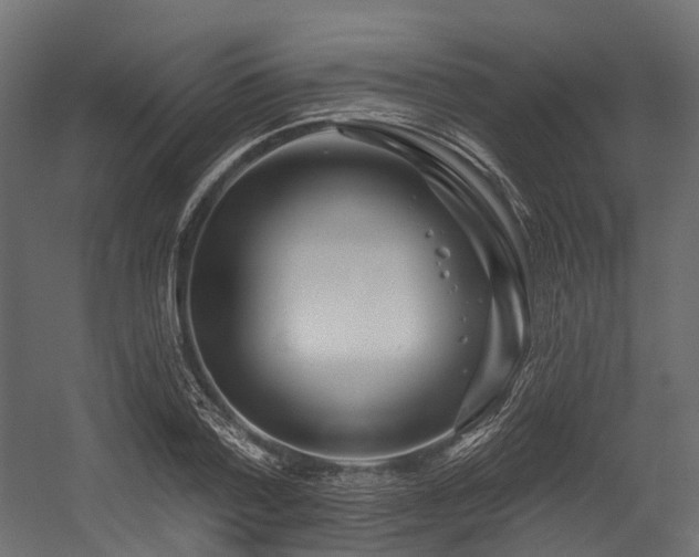 X0000054420788200507291248