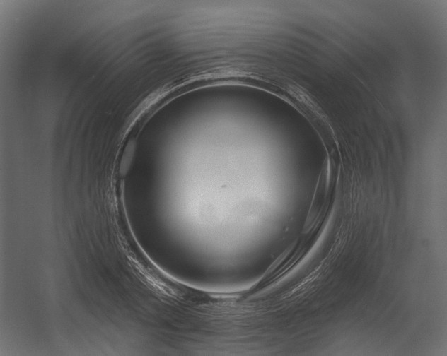 X0000054420789200507291248