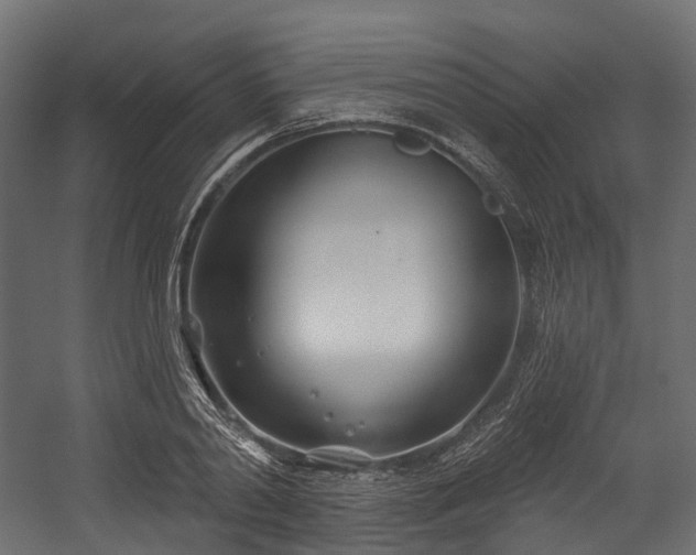 X0000054420790200507291248