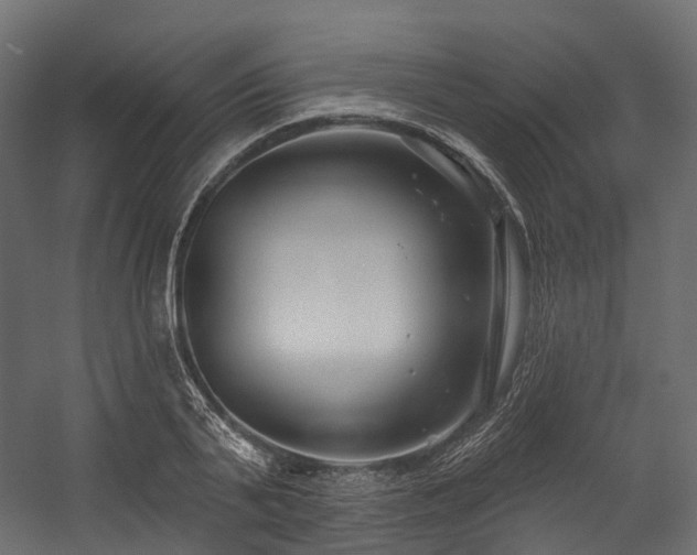 X0000054420791200507291248