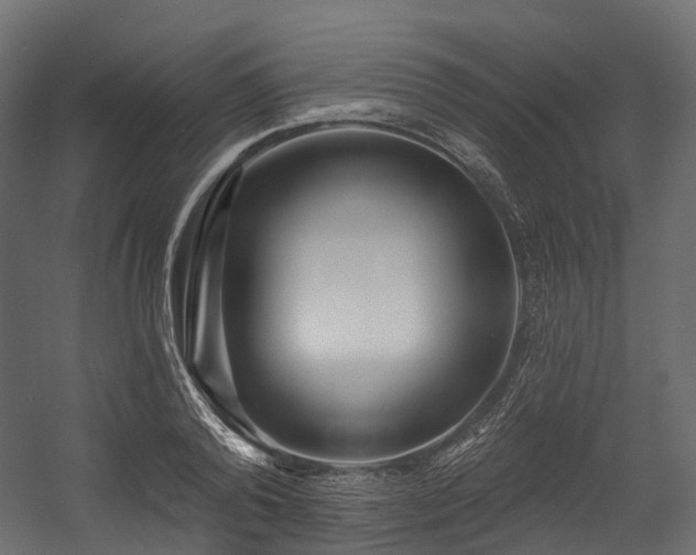 X0000054420792200507291248