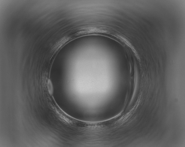 X0000054420793200507291248