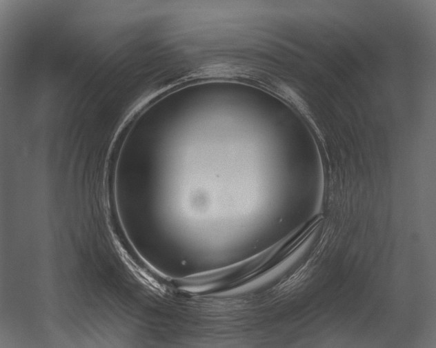 X0000054420795200507291248