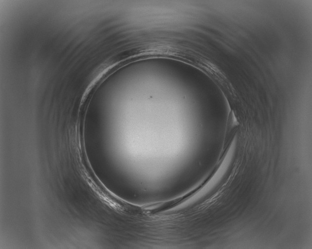 X0000054420796200507291248