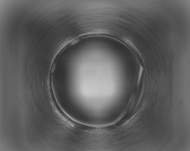 X0000054420797200507291248