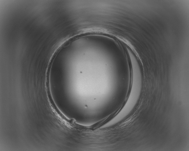 X0000054420799200507291248