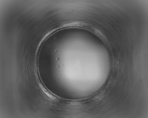 X0000054420800200507291247