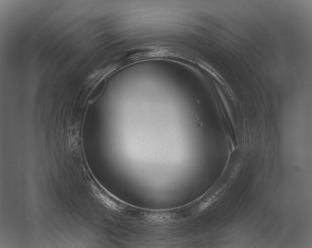 X0000054420801200507291247