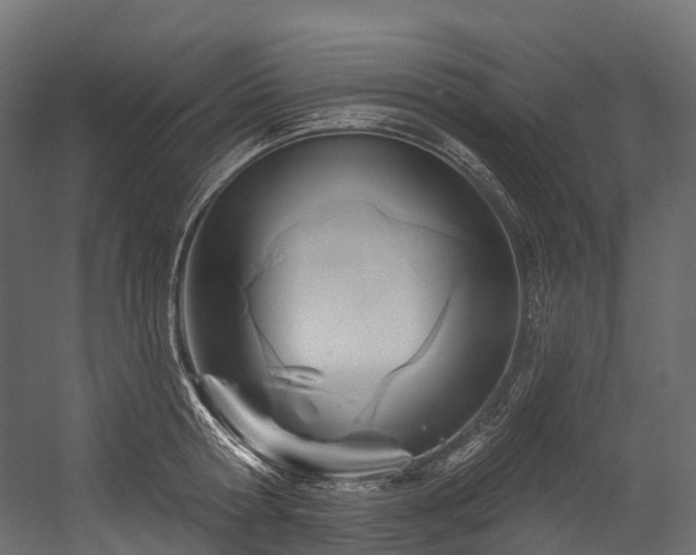 X0000054420802200507291247