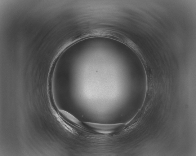 X0000054420803200507291247