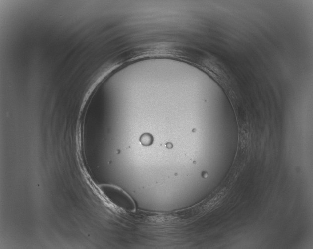 X0000054420804200507291247