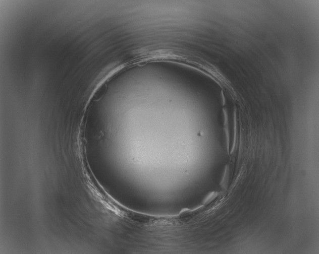 X0000054420806200507291247