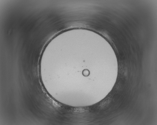 X0000054420807200507291247