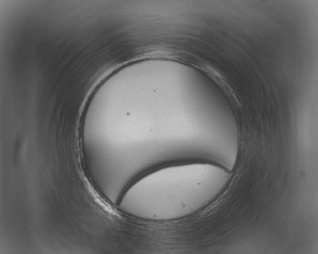 X0000054420808200507291247