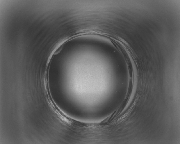 X0000054420812200507291247