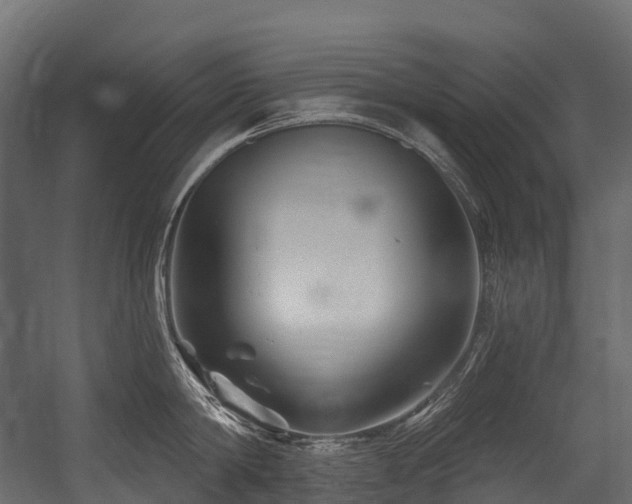 X0000054420814200507291247