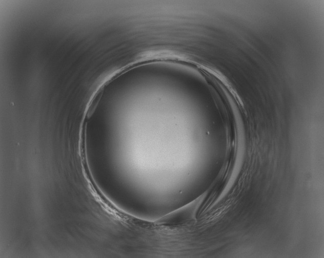 X0000054420815200507291247