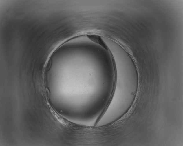 X0000054420816200507291247