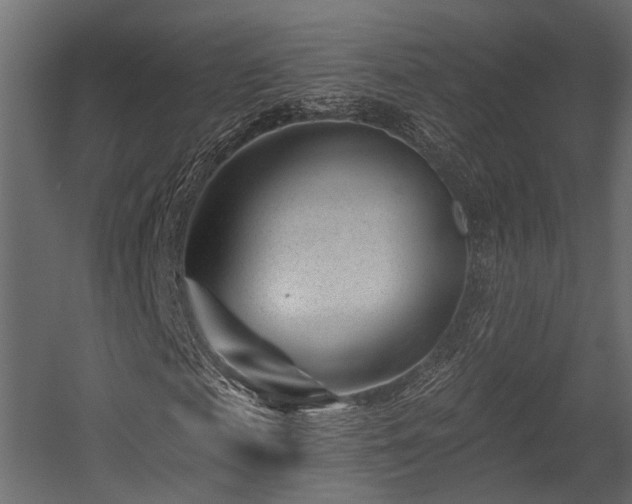 X0000054420817200507291246