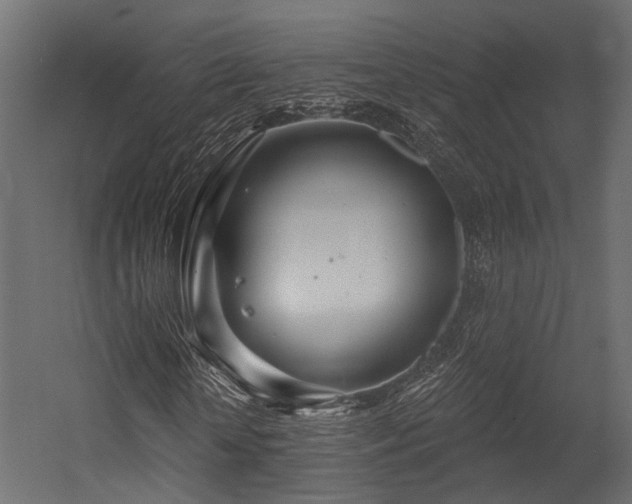 X0000054420818200507291246