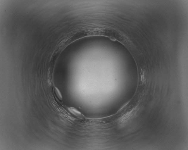 X0000054420819200507291246