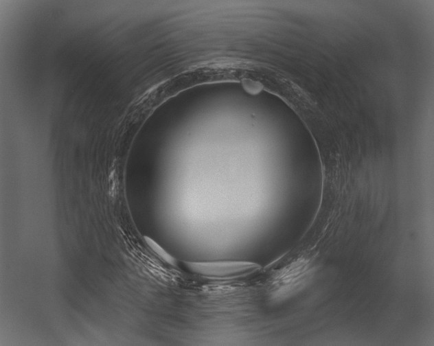 X0000054420821200507291246