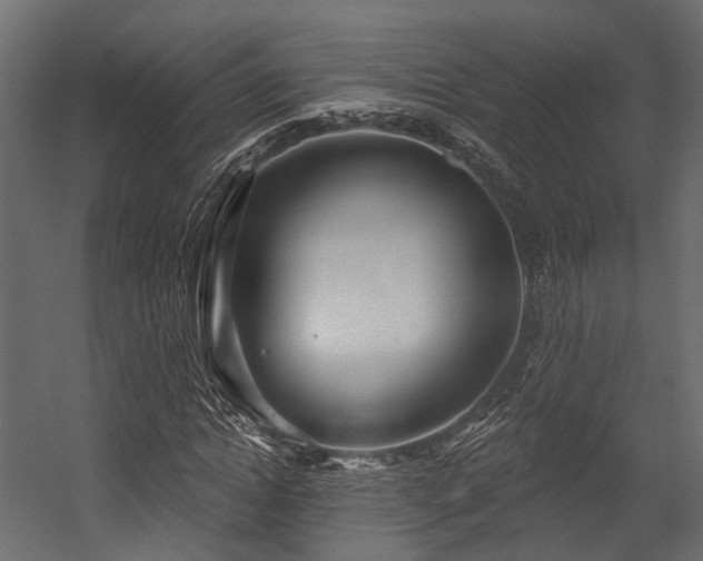 X0000054420822200507291246