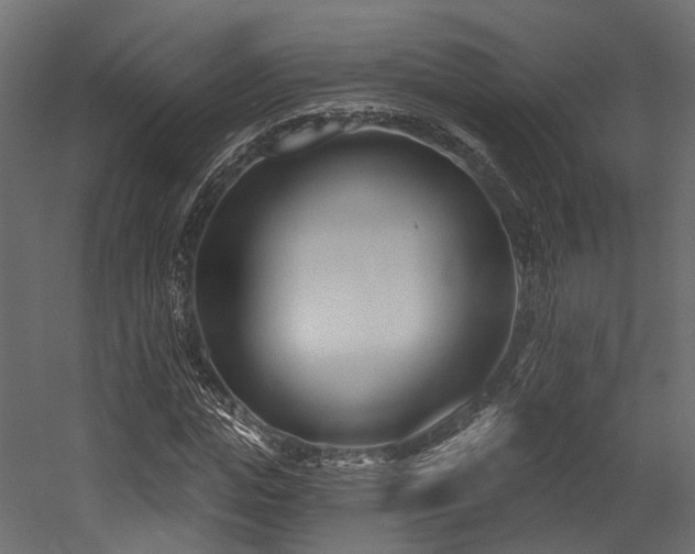 X0000054420823200507291247