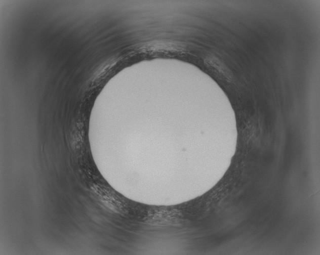 X0000054420824200507291247