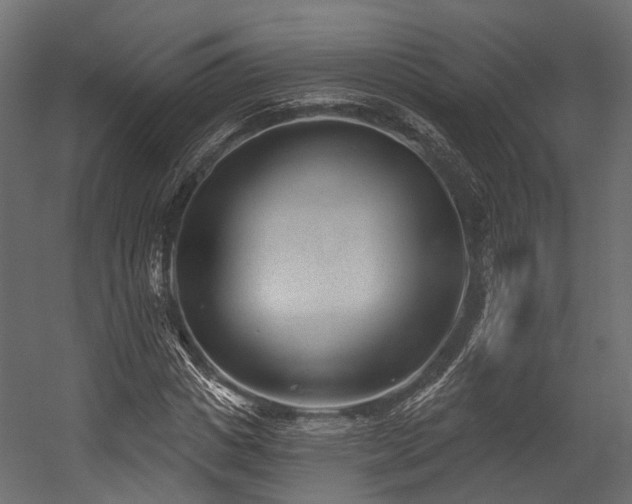 X0000054420825200507291247