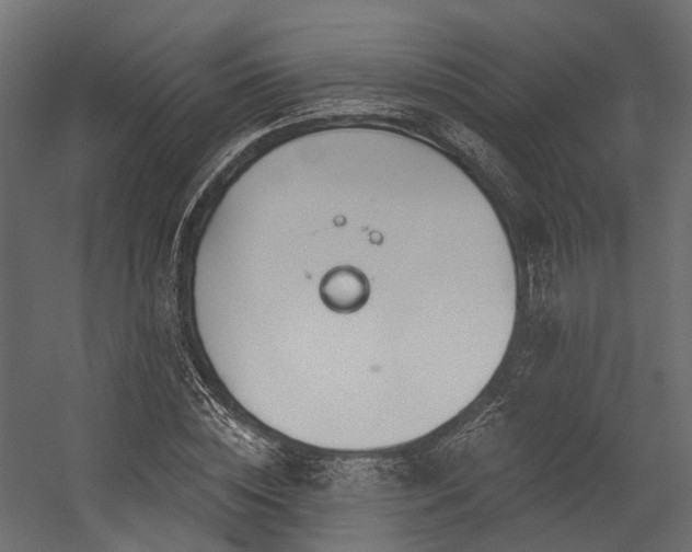 X0000054420828200507291247