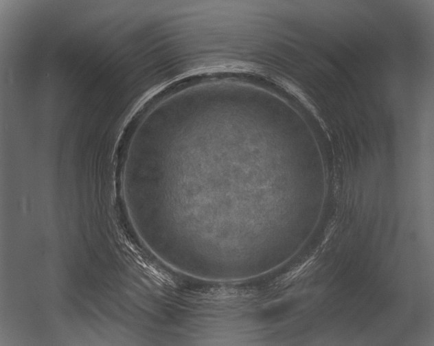 X0000054420829200507291247