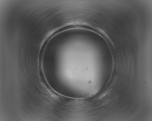 X0000054420831200507291247