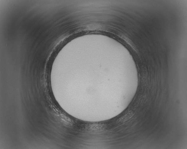 X0000054420832200507291247