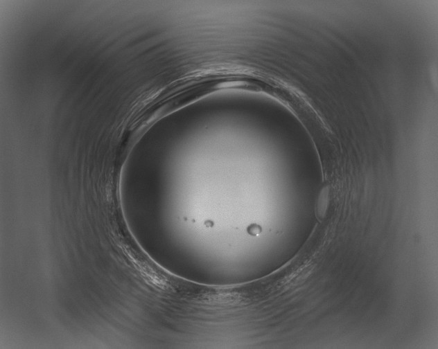 X0000054420833200507291247