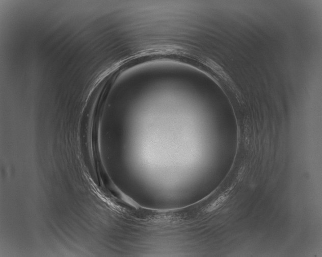 X0000054420834200507291247